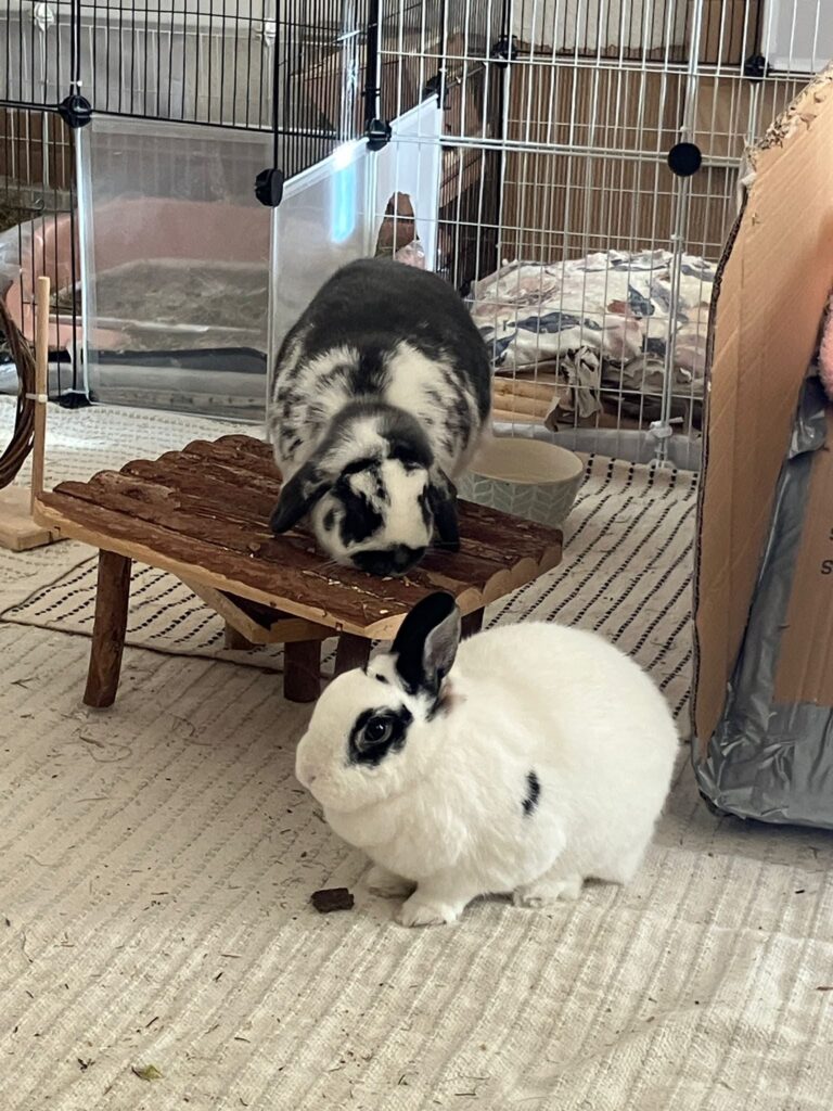 About Us img 20260227 wa0006